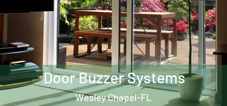 Door Buzzer Systems Wesley Chapel-FL