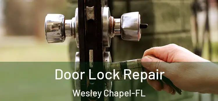  Door Lock Repair Wesley Chapel-FL