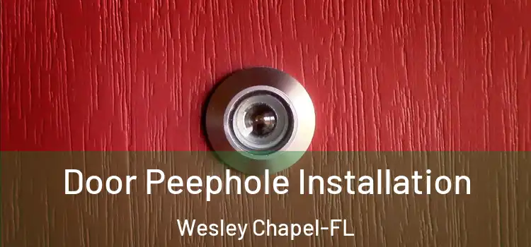  Door Peephole Installation Wesley Chapel-FL