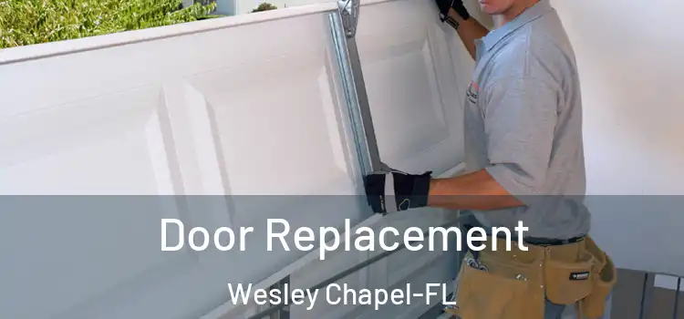Door Replacement Wesley Chapel-FL