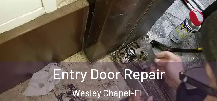 Entry Door Repair Wesley Chapel-FL