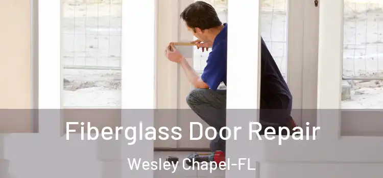  Fiberglass Door Repair Wesley Chapel-FL