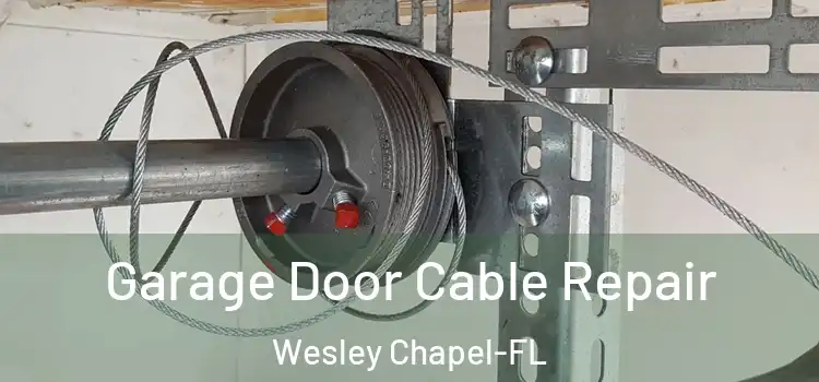 Garage Door Cable Repair Wesley Chapel-FL