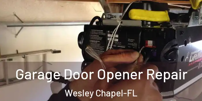 Garage Door Opener Repair Wesley Chapel-FL