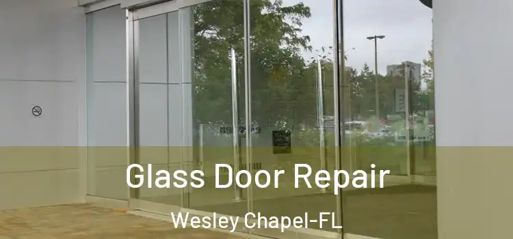 Glass Door Repair Wesley Chapel-FL