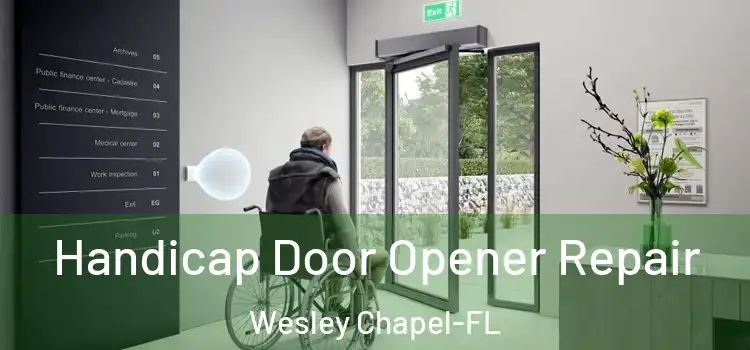  Handicap Door Opener Repair Wesley Chapel-FL