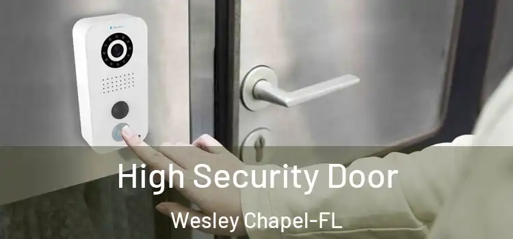 High Security Door Wesley Chapel-FL