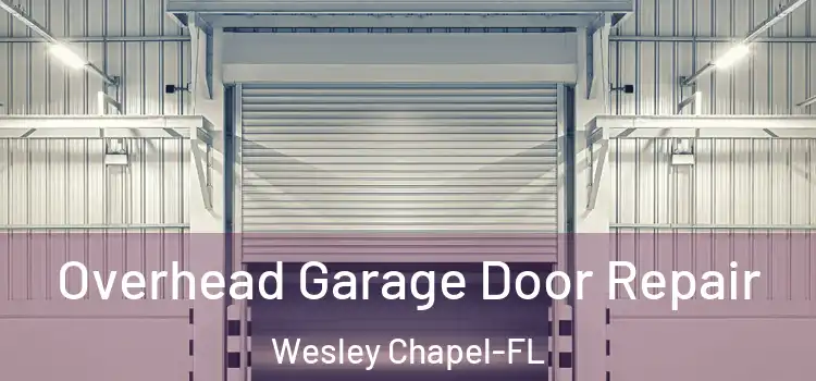  Overhead Garage Door Repair Wesley Chapel-FL