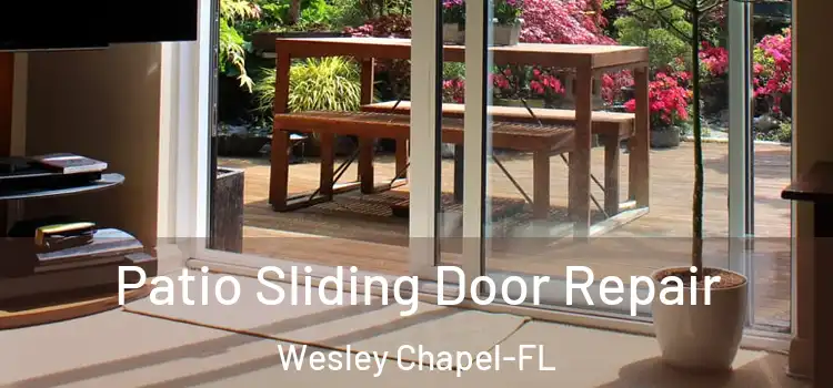  Patio Sliding Door Repair Wesley Chapel-FL