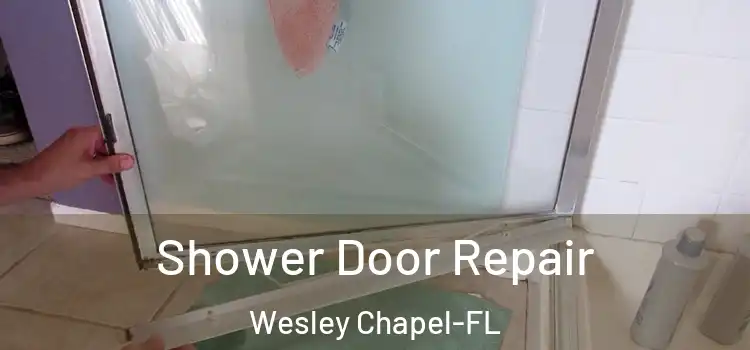  Shower Door Repair Wesley Chapel-FL