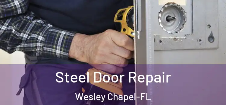  Steel Door Repair Wesley Chapel-FL